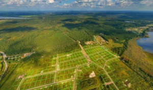 Спрос на земельные участки в России вырос на 12% за квартал